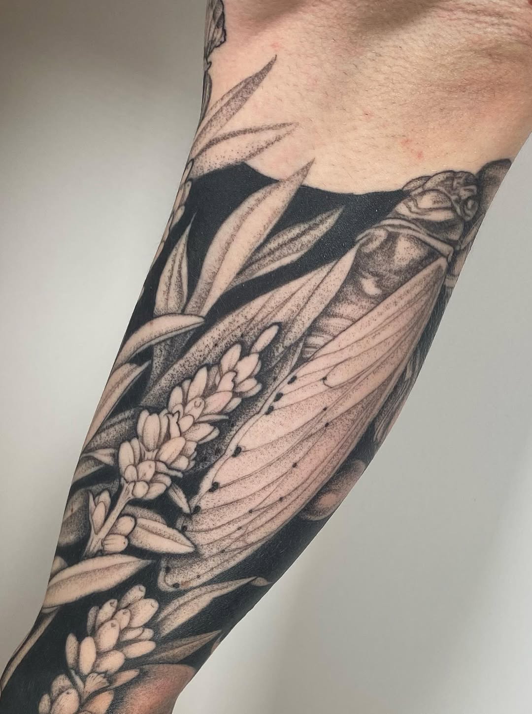 Flower, Animal, Nature, Rose