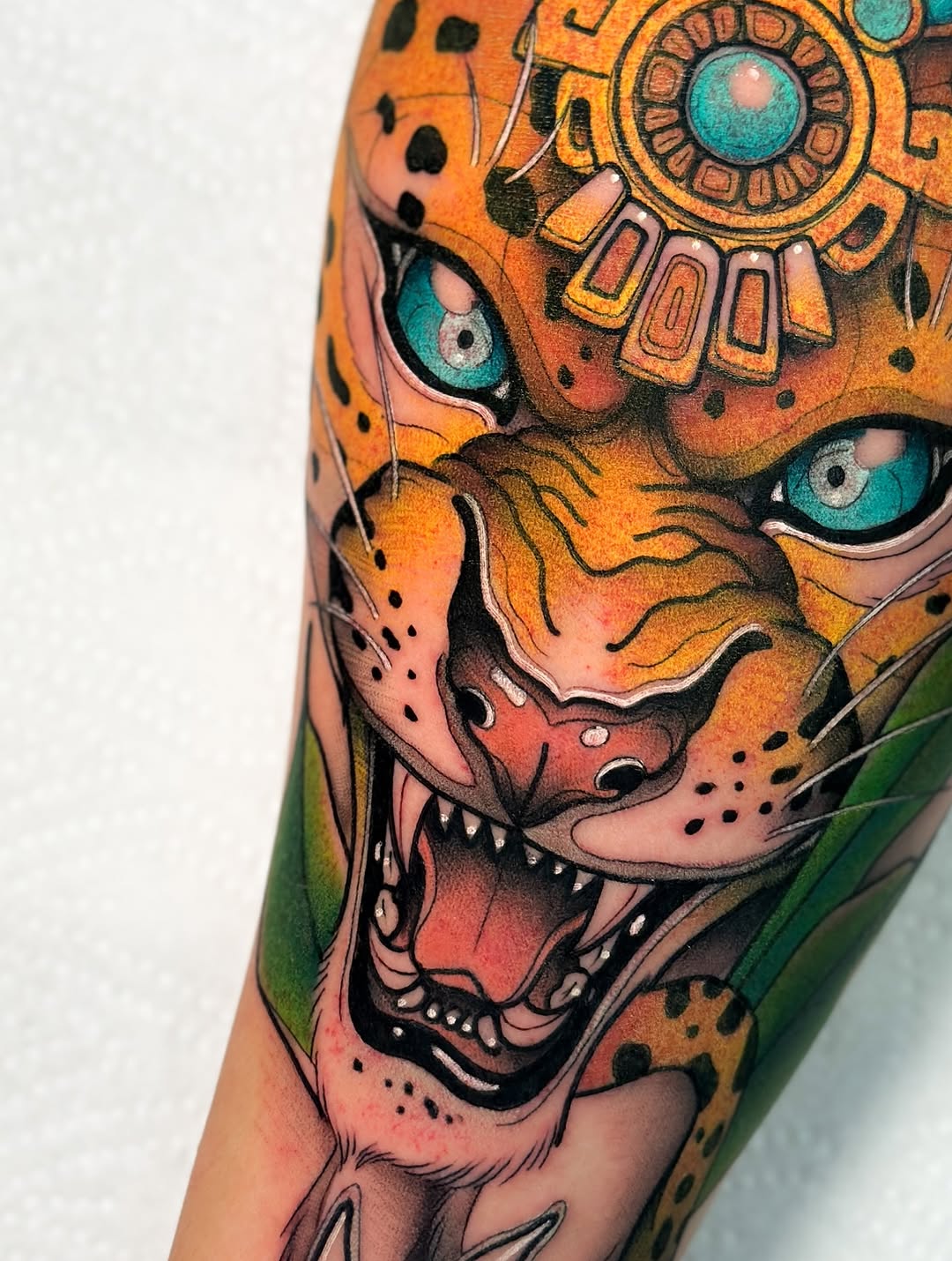 Tiger, Animal