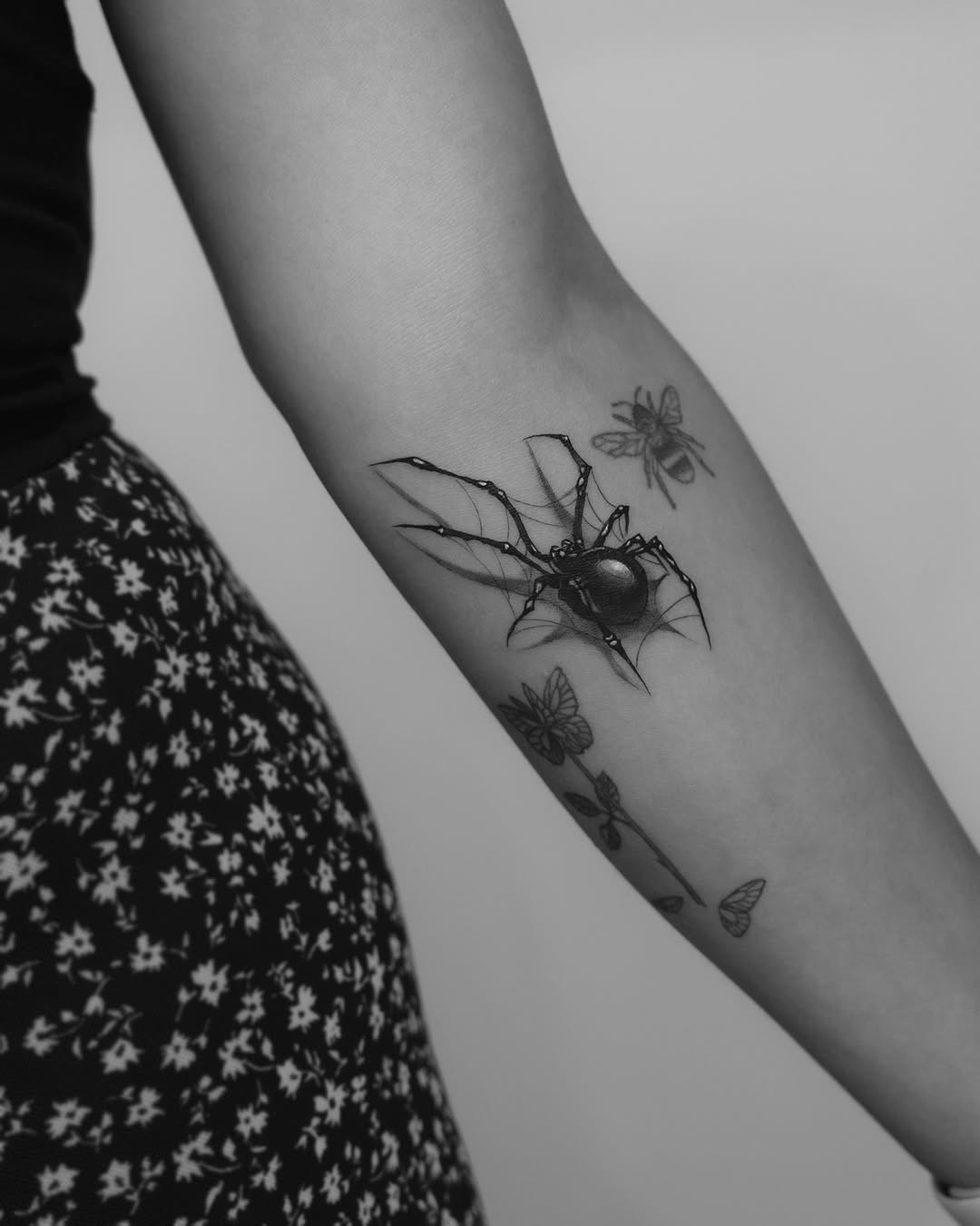 Animal, 거미