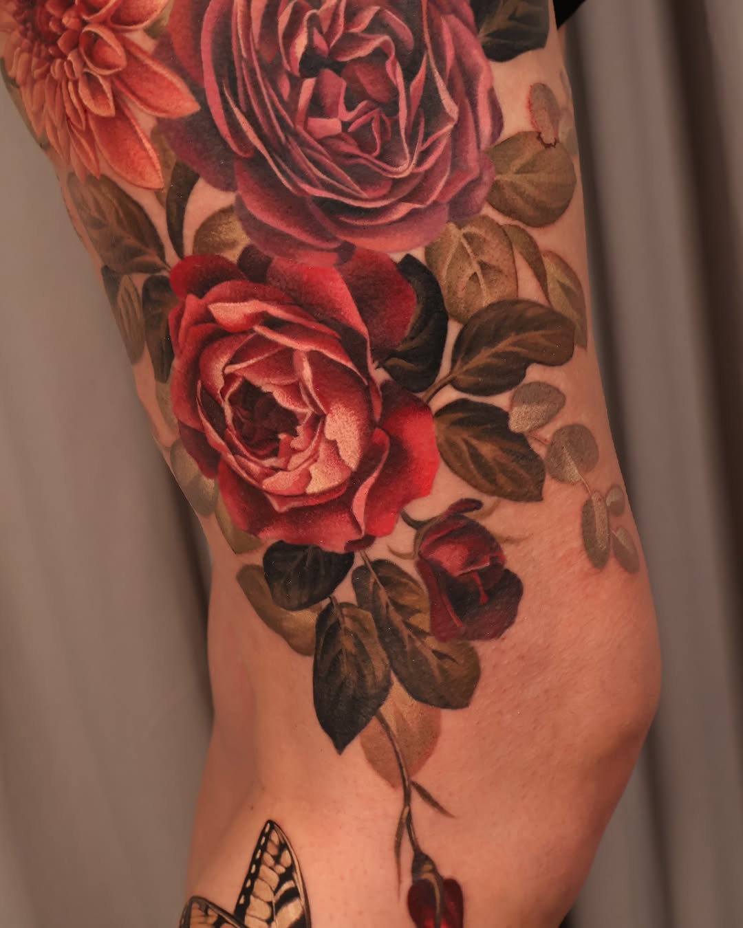 Flower, Rose, Nature