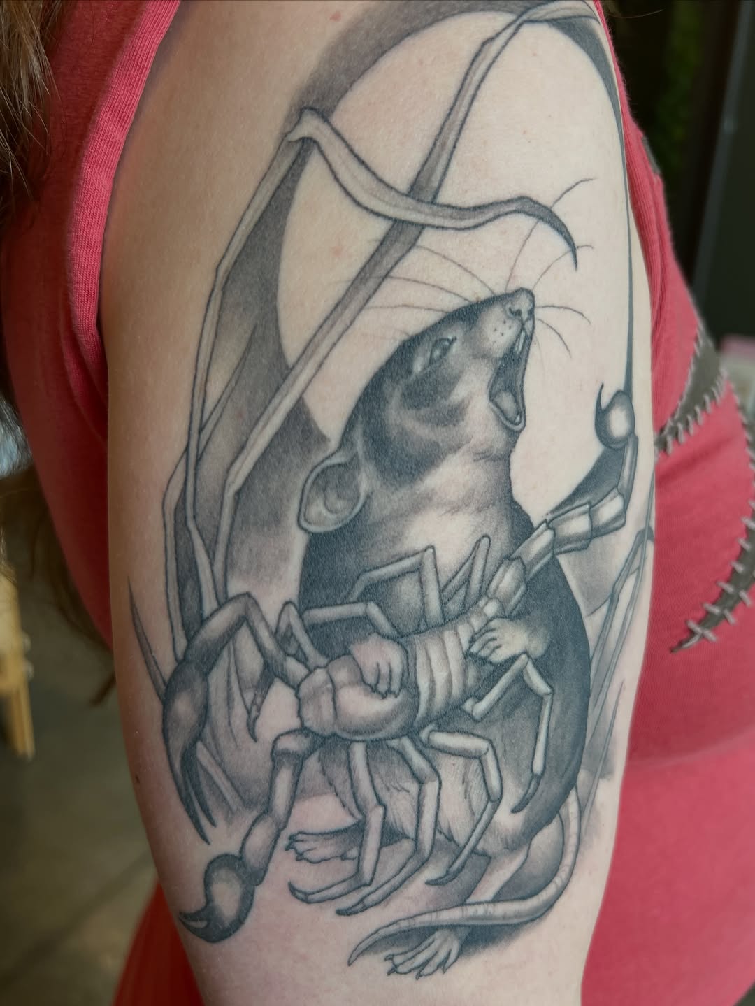 shawn_hebrank