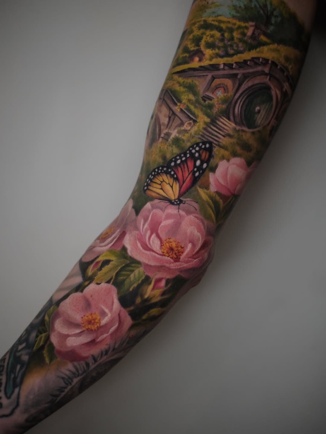 Flower, Rose, Nature, Dragon
