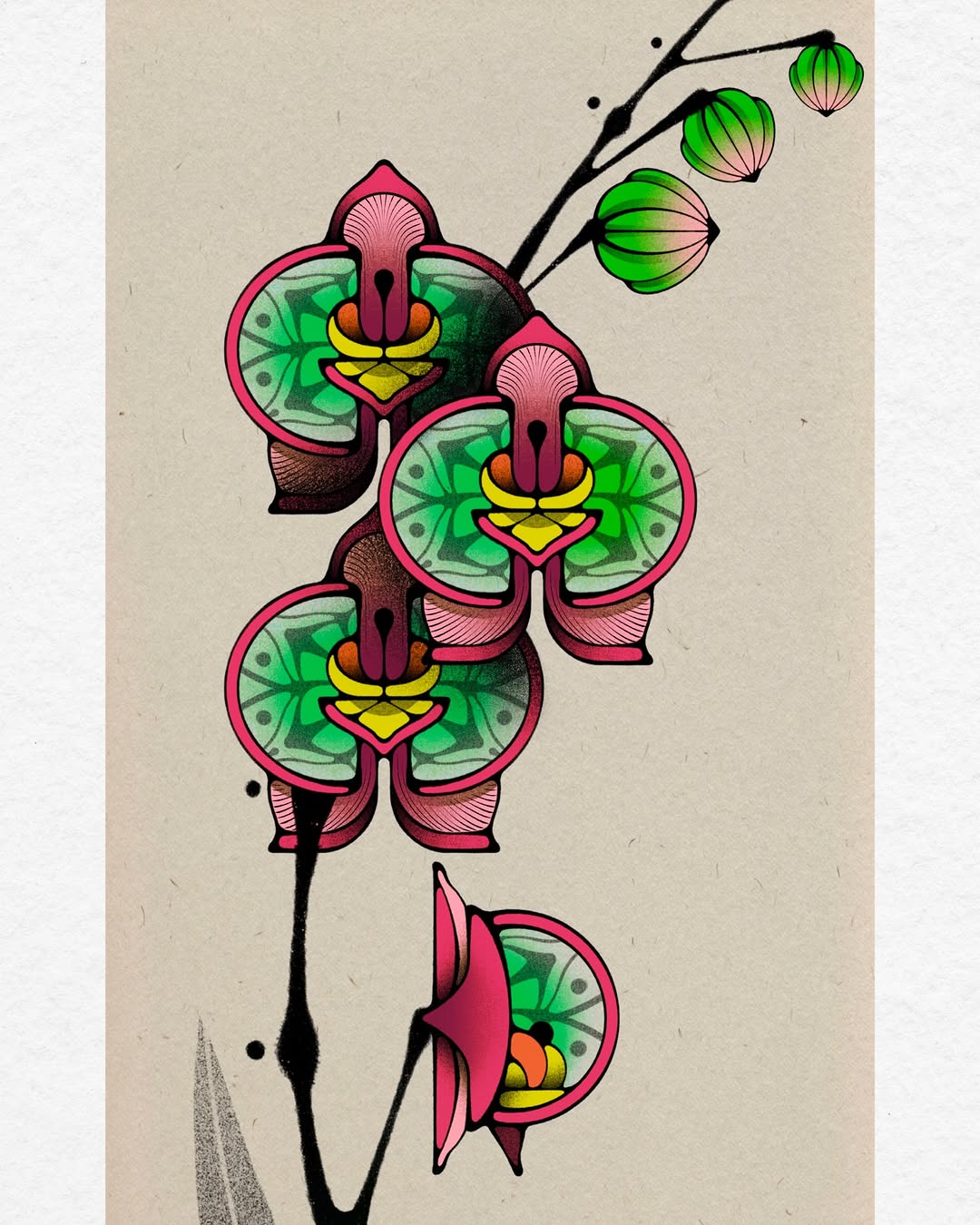 Flower, Rose